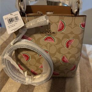 Coach Beige Mini Bag with Watermelon Design